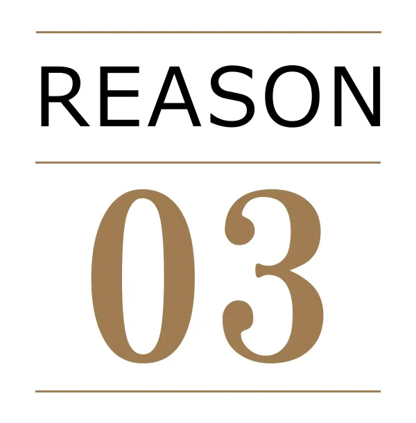 reason03