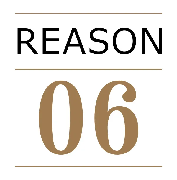 reason06